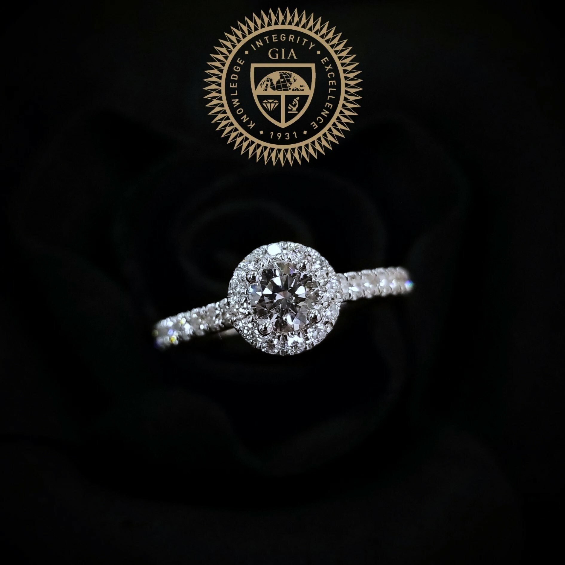 18K White Gold 0.31ct GIA Diamond Ring