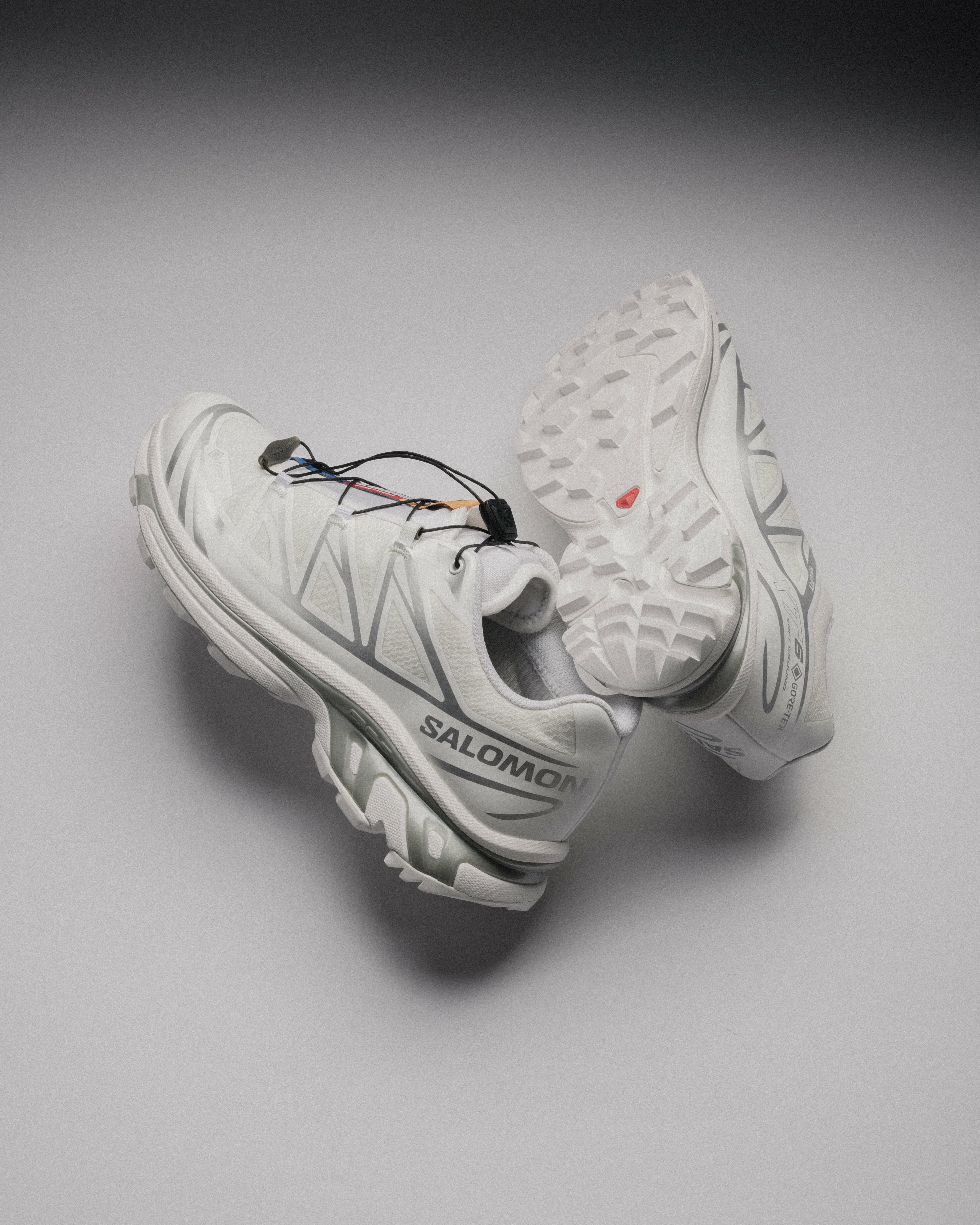 [現貨] Salomon Advanced XT-6 Gore-Tex White Silver | 475811