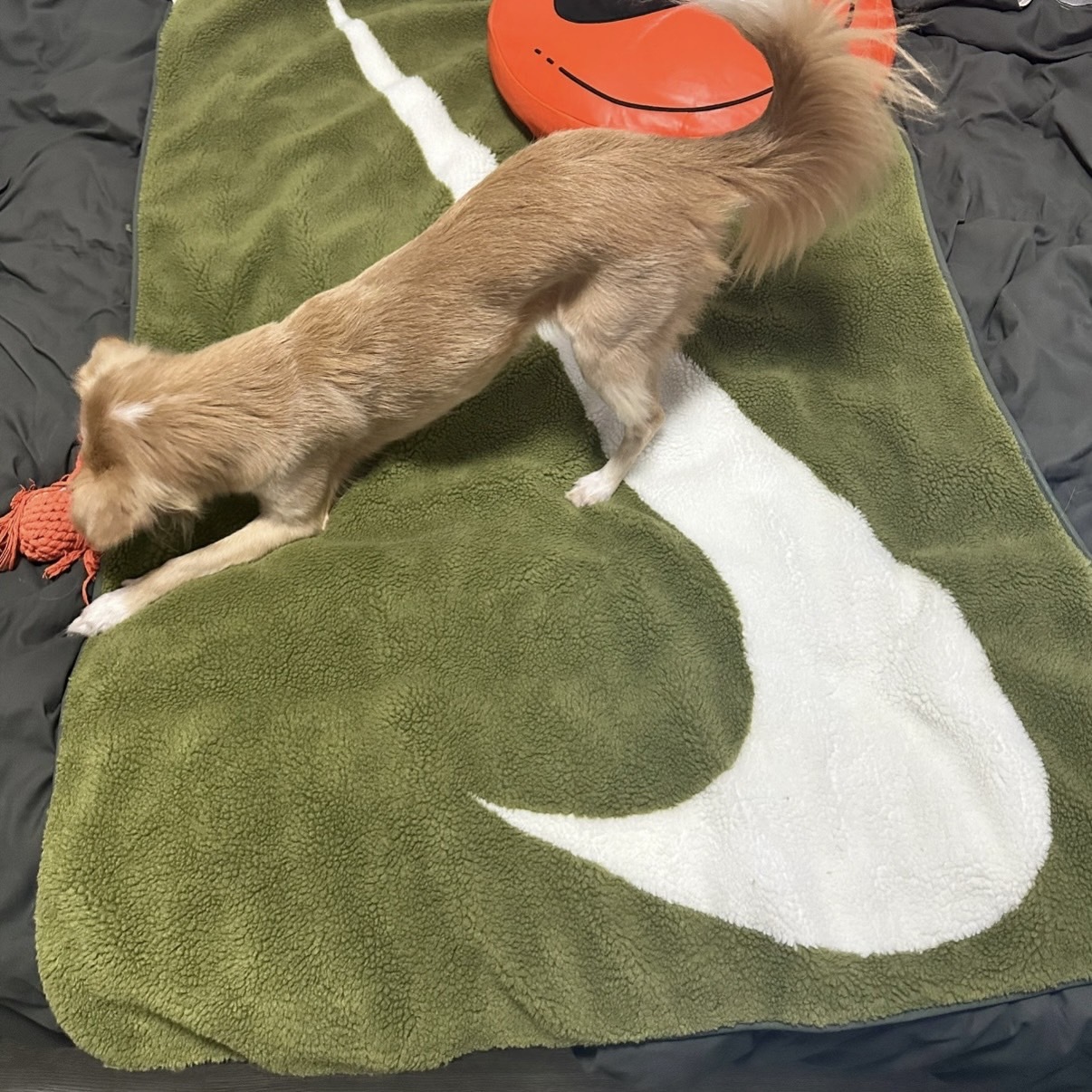 <快速出貨>國外限定 Nike swoosh 勾勾 毛毯 橄欖綠 附贈小提袋