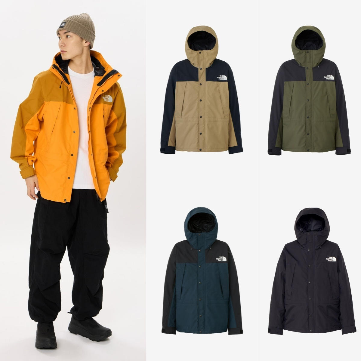 預購┃日本 THE NORTH FACE Mountain Light Jacket GORE-TEX 防風 防水 連帽外套