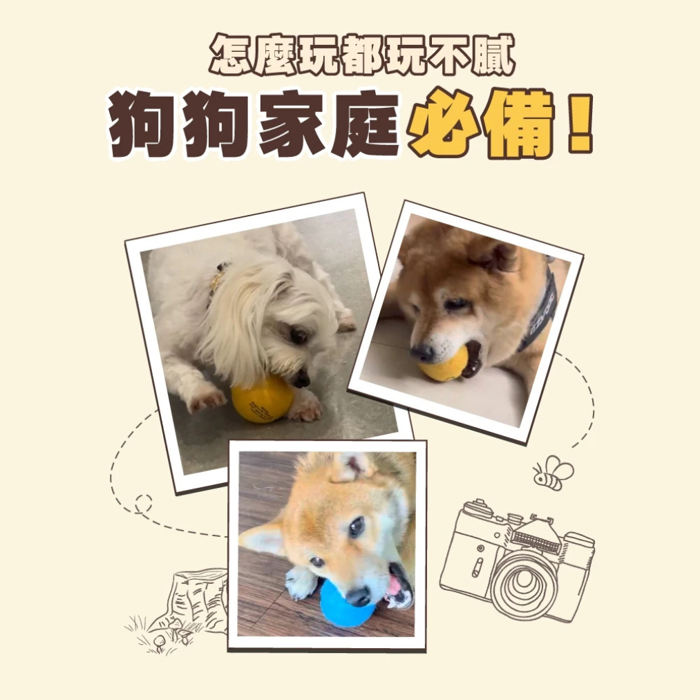 HeroMama｜小熊維尼系列 牛好朋友啾啾彈力球 狗狗彈力球