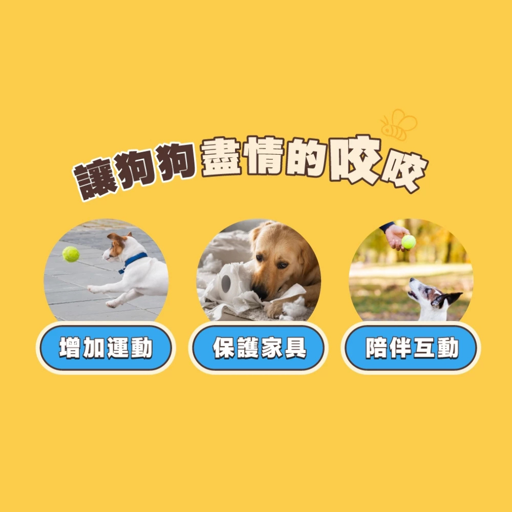 HeroMama｜小熊維尼系列 牛好朋友啾啾彈力球 狗狗彈力球