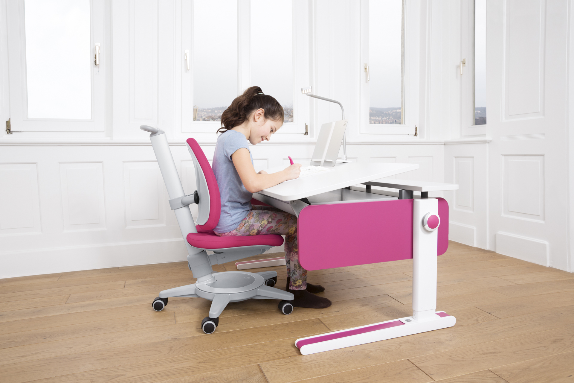 Moll Champion Desk Front Up