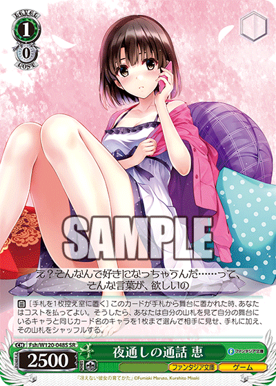 【Fsh/W120-048S SR】夜通しの通話 恵