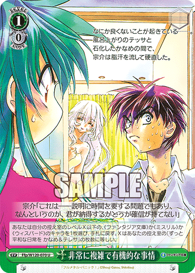 【Ffp/W120-070 U】非常に複雑で有機的な事情