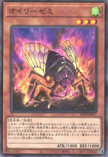 AC02-JP027  オイリーゼミ (油蟬)