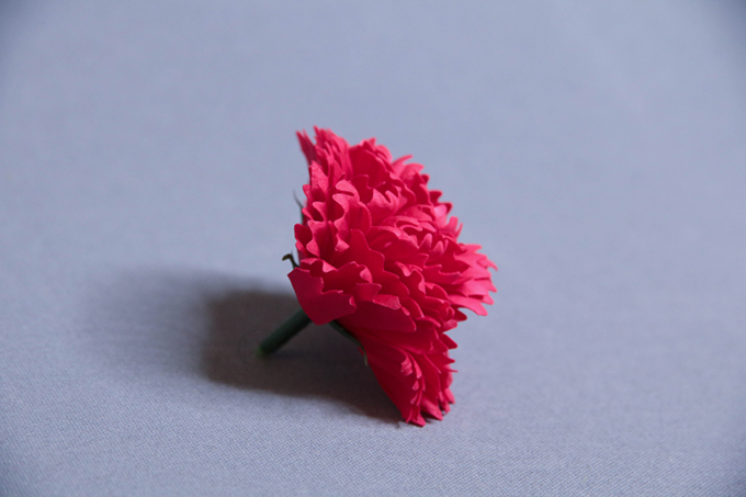 6片尖托康乃馨香皂花