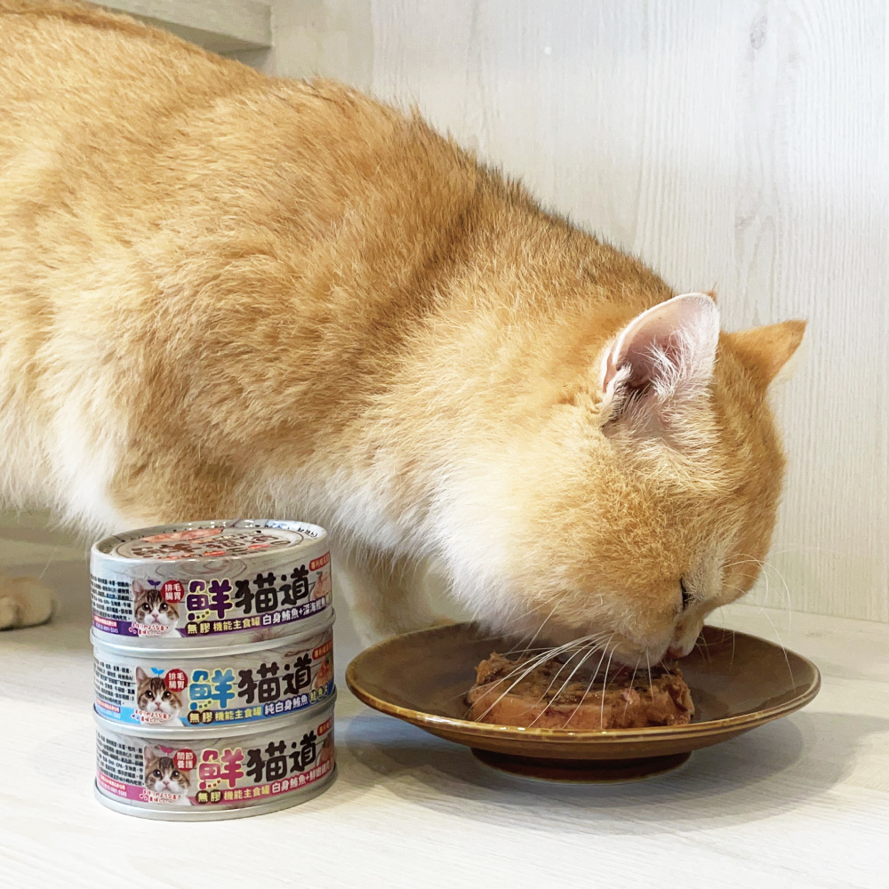 鮮貓道 - 無膠機能主食罐 - 單罐 / 6罐 / 12罐