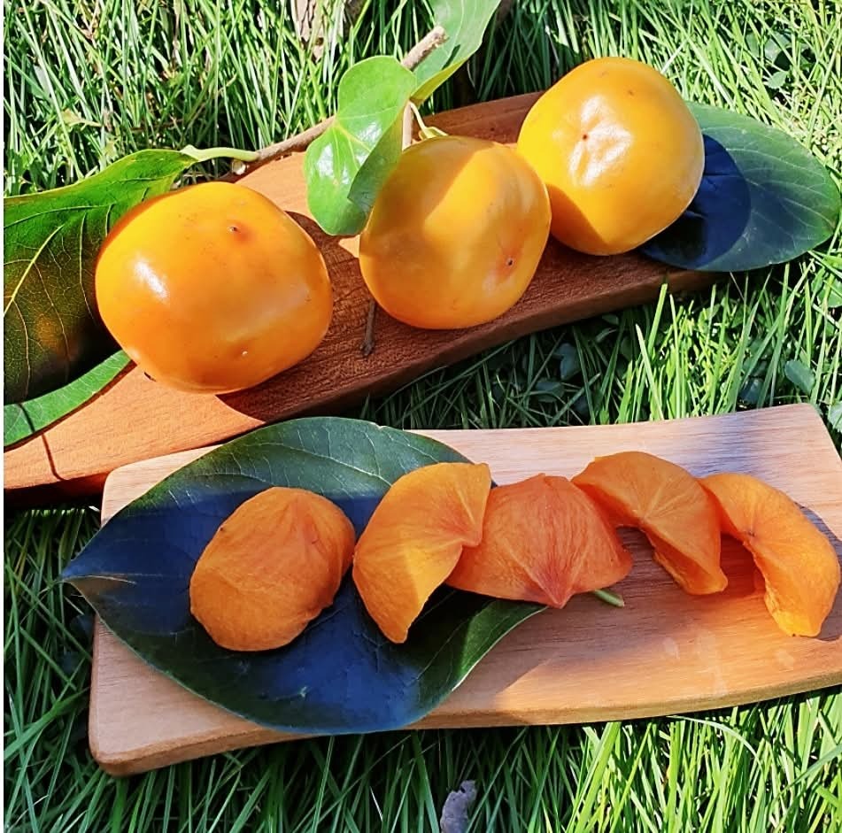 【直播凍貨】L111519 張上王 妖姬柿乾 1kg