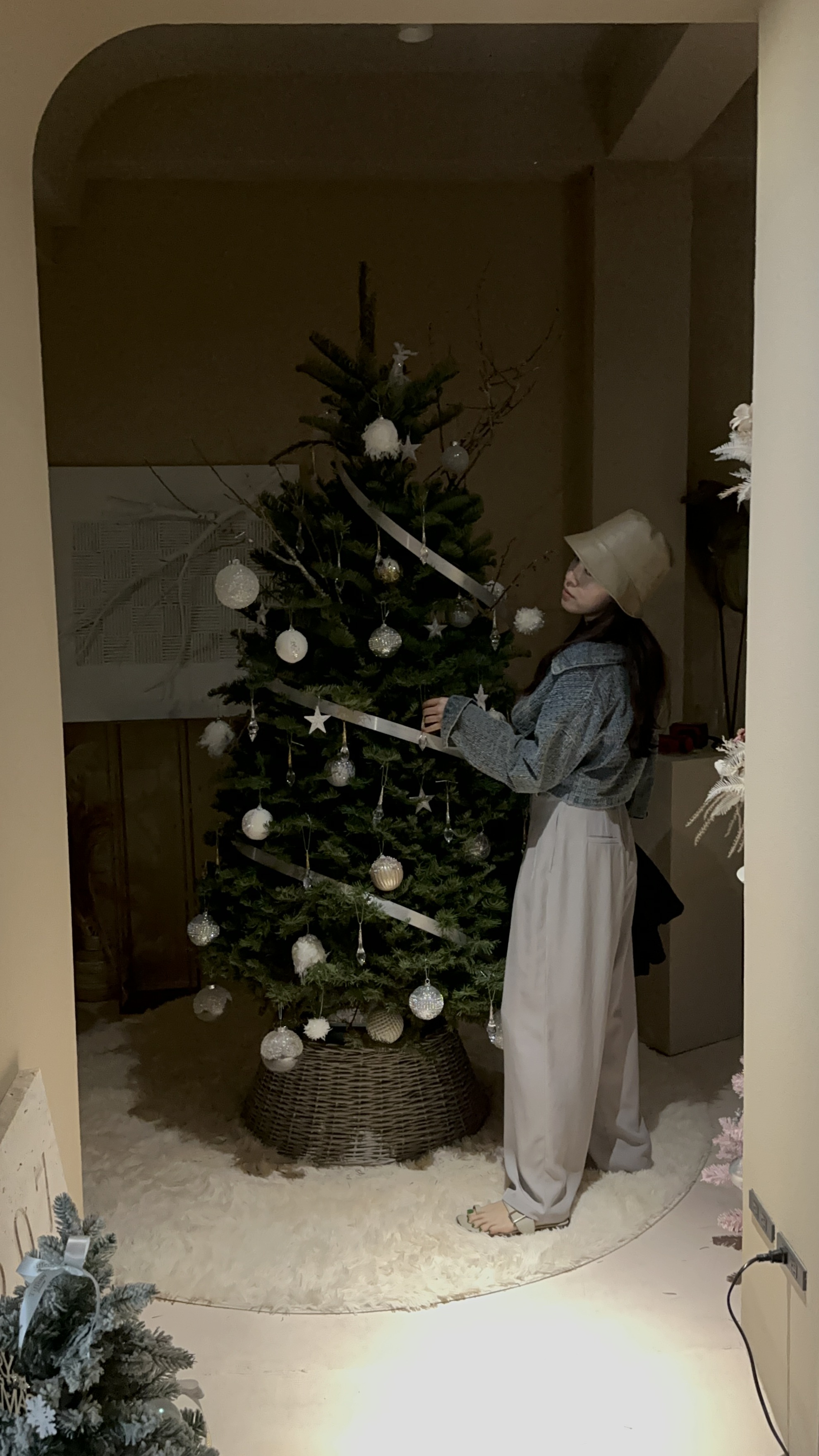 進口整座 Noble Fir 冷杉聖誕樹