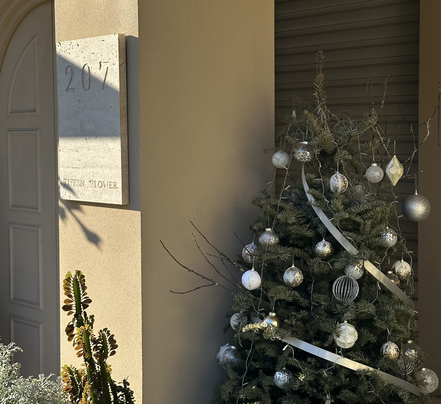 進口整座 Noble Fir 冷杉聖誕樹