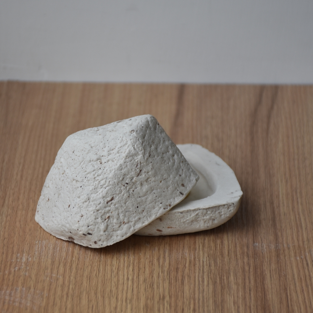 THE DETAILS - Earth’s Memory