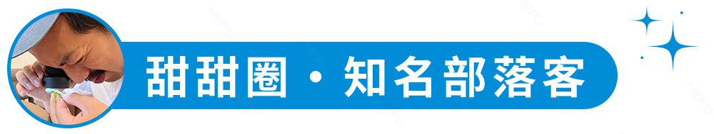 Image: https://img.shoplineapp.com/media/image_clips/67380c041d803e000df723bd/original.jpg?1731726340