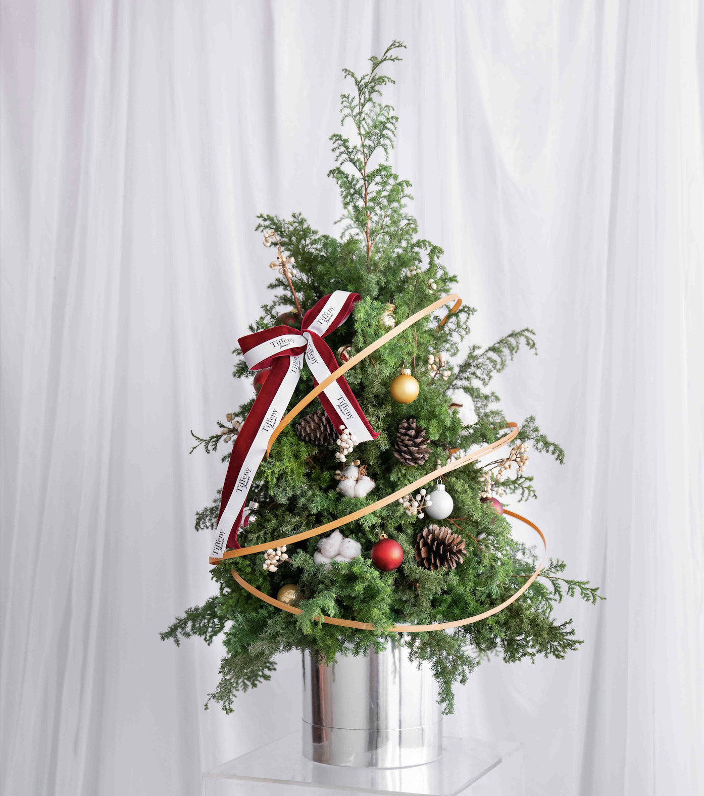 【 新鮮 】星環祝福聖誕樹