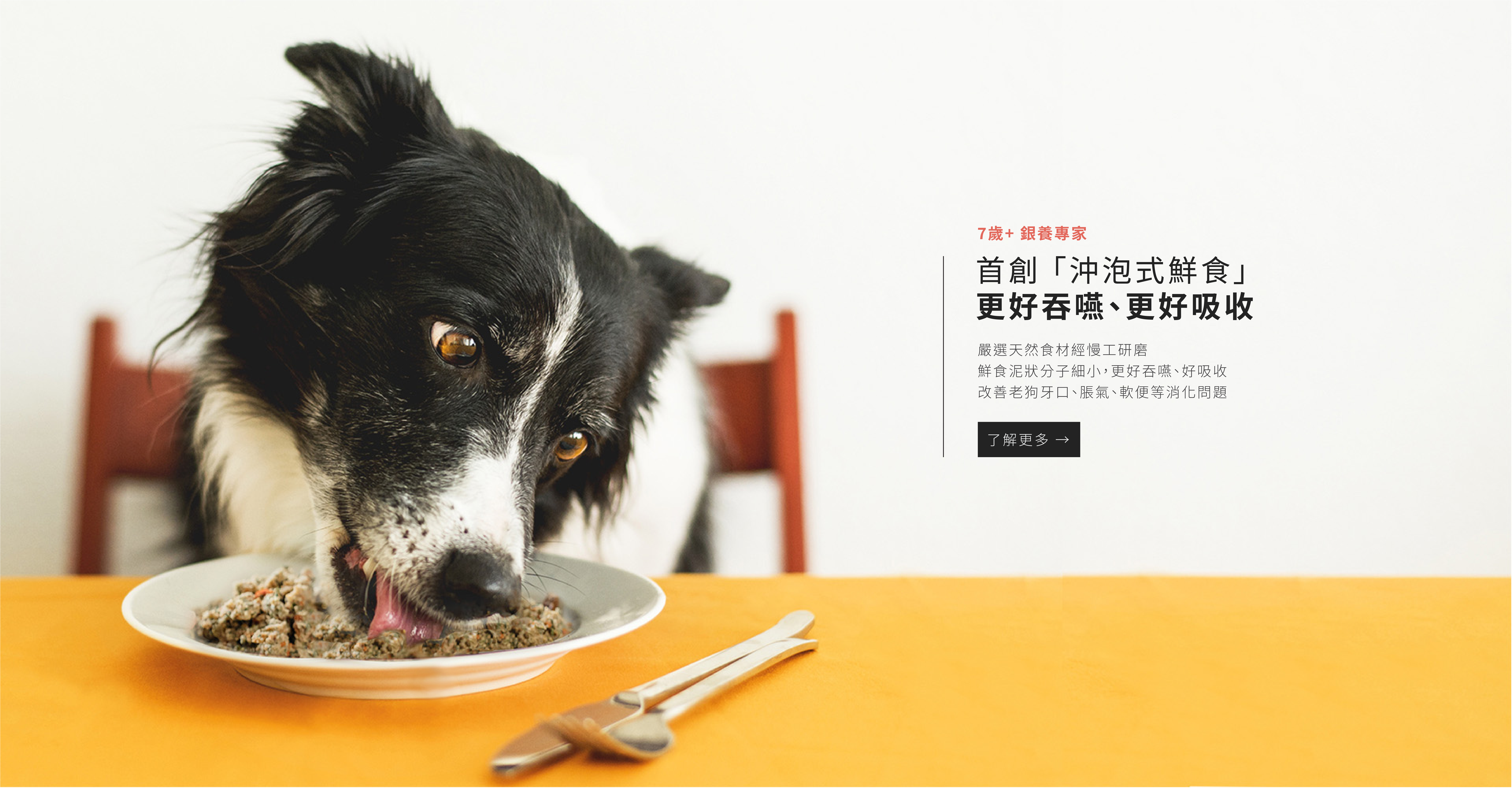 沖泡鮮食 沖泡式鮮食 沖泡飼料 軟飼料 老狗 軟便 脹氣 過敏