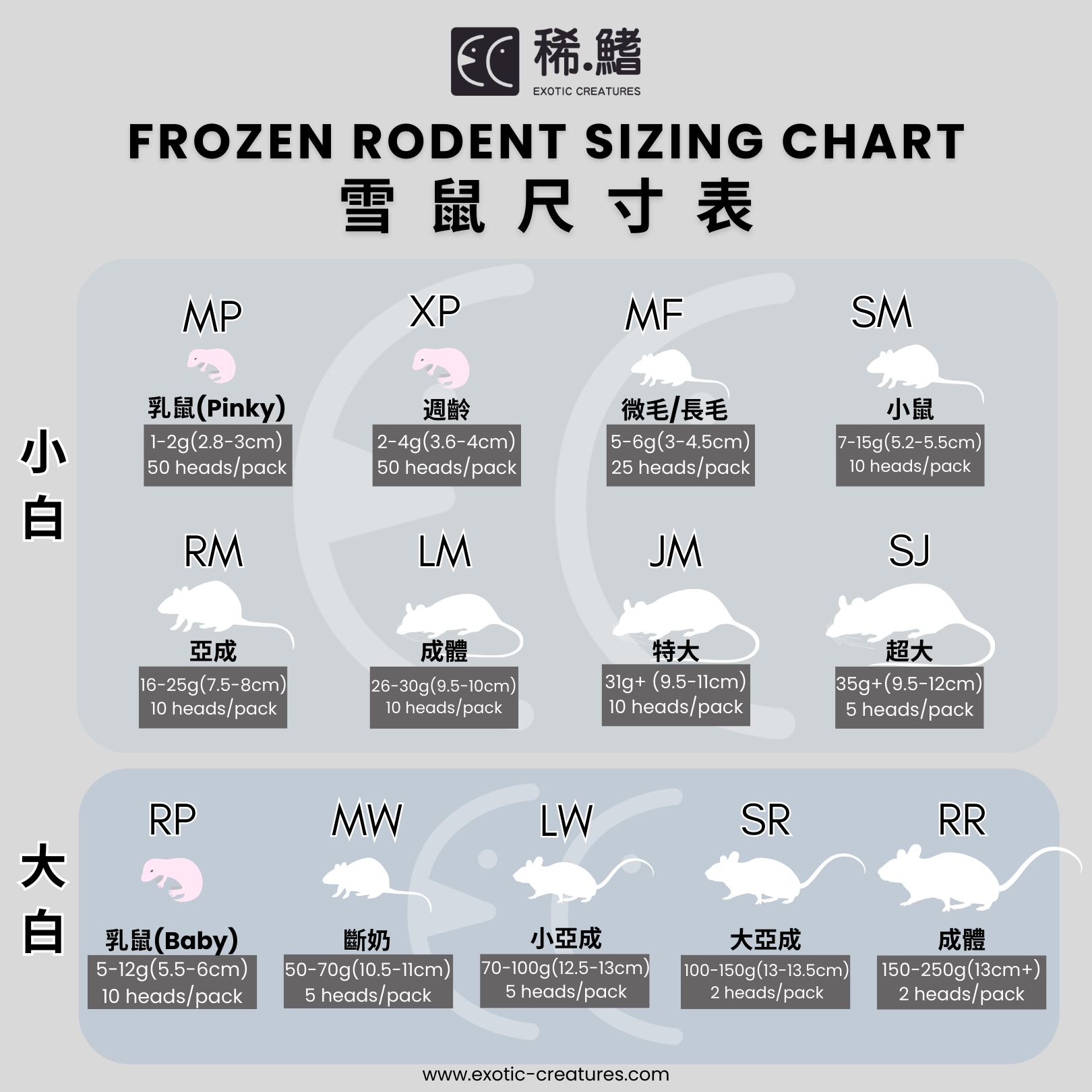 雪鼠，冰鮮餵飼鼠，冰鼠，