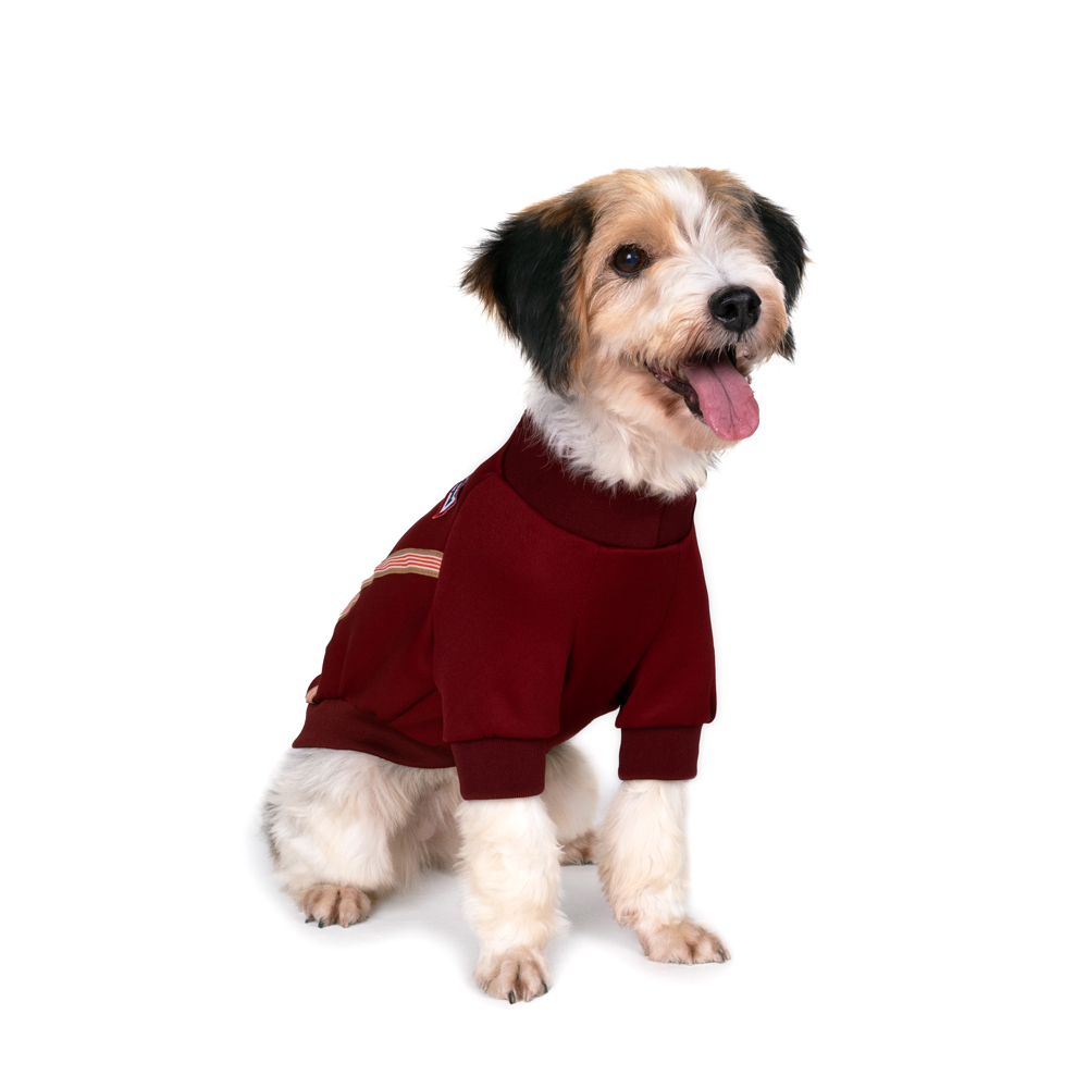 《 Charlies backyard 》THUNDER JACKET 雷霆夾克｜酒紅