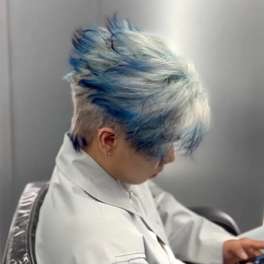 Anson’s Transparent Hair Color Creations