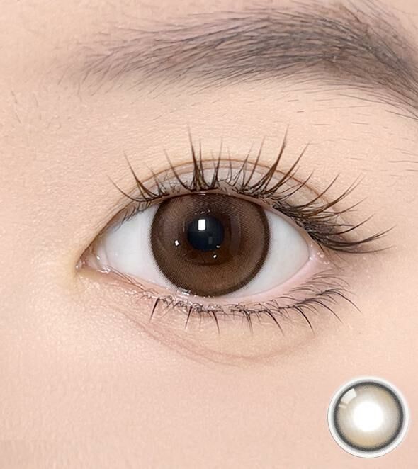 [半年拋] OLOLA Meow 6 Month COON Brown 彩色隱形眼鏡｜每盒2片