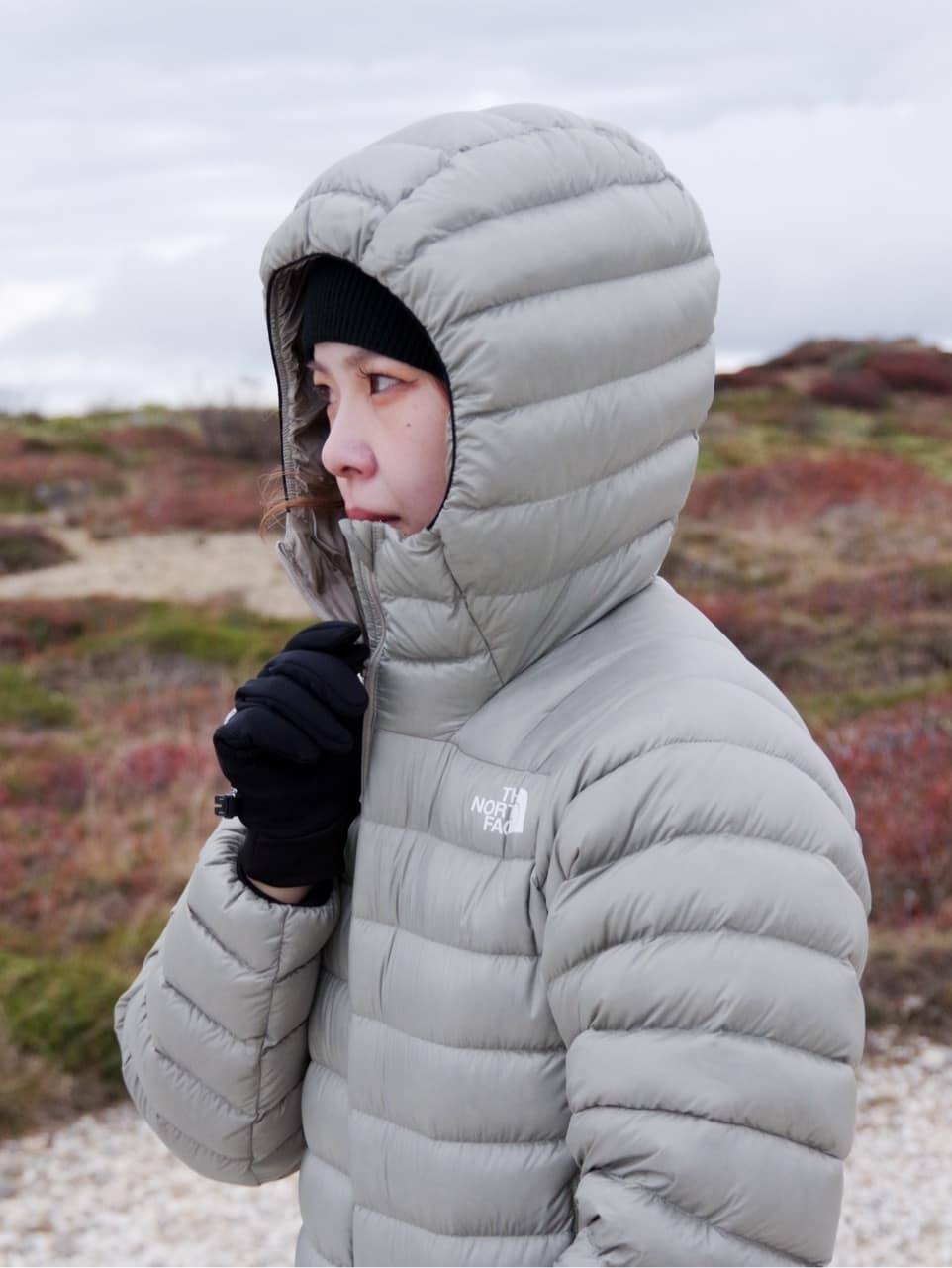 日本 TNF Wouzel Jacket  (女款)