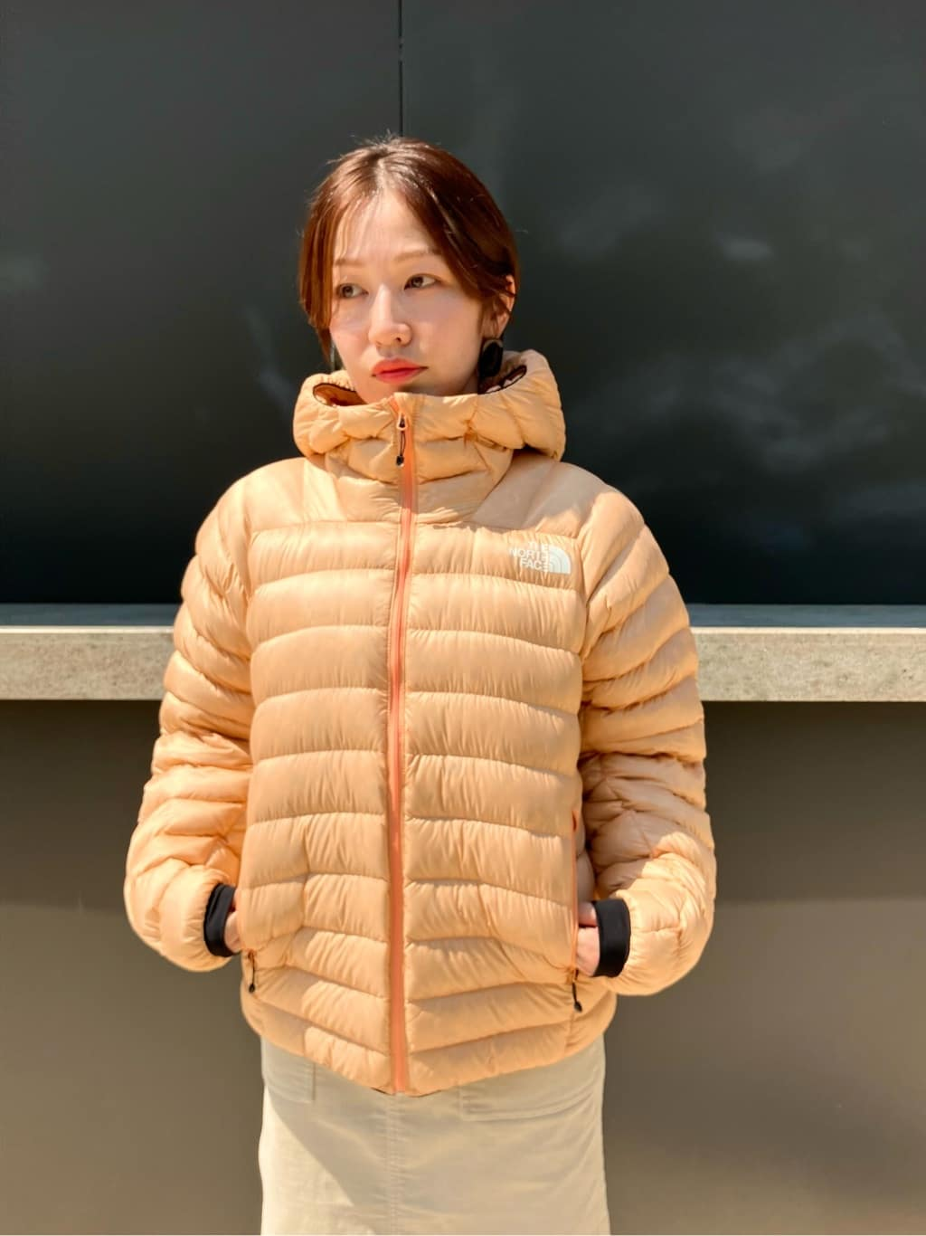 日本 TNF Wouzel Jacket  (女款)