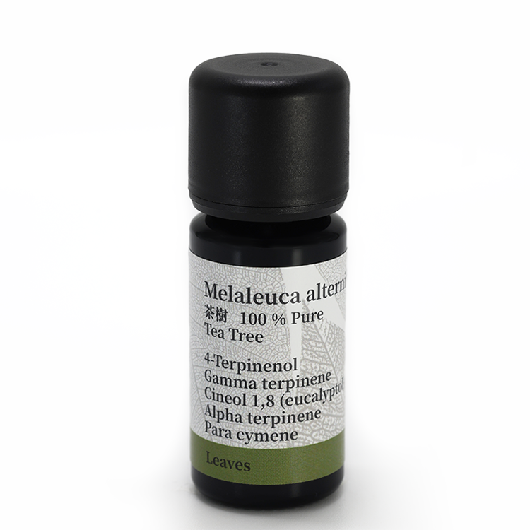 茶樹 10ml