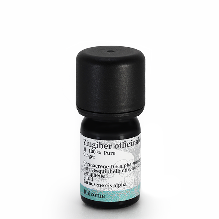 薑 5ml