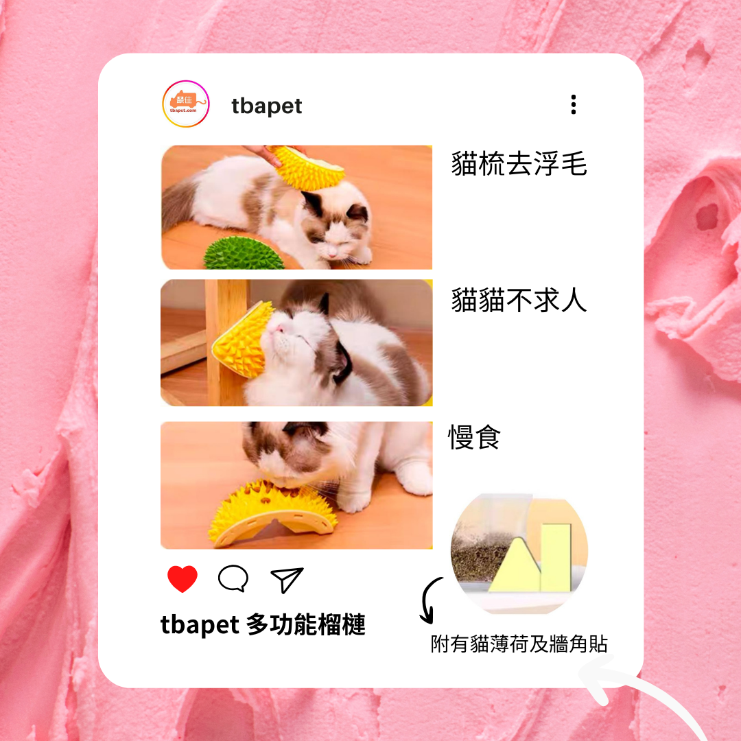 貓玩具 - 多功能榴槤
