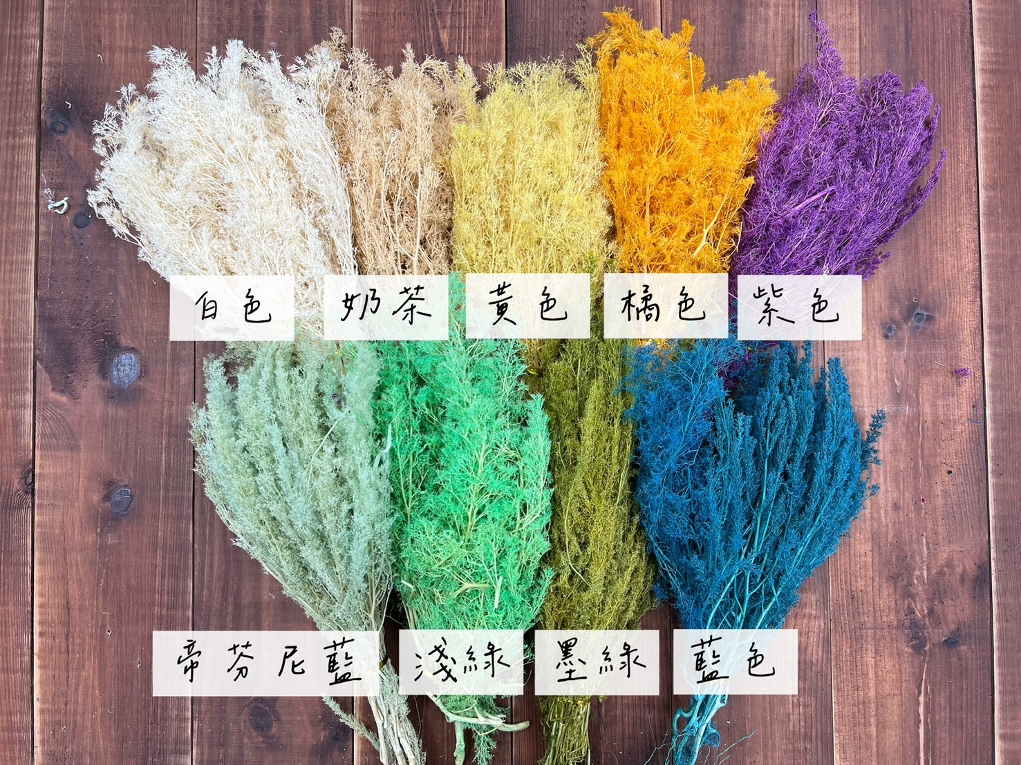 (出清)不凋刺梨