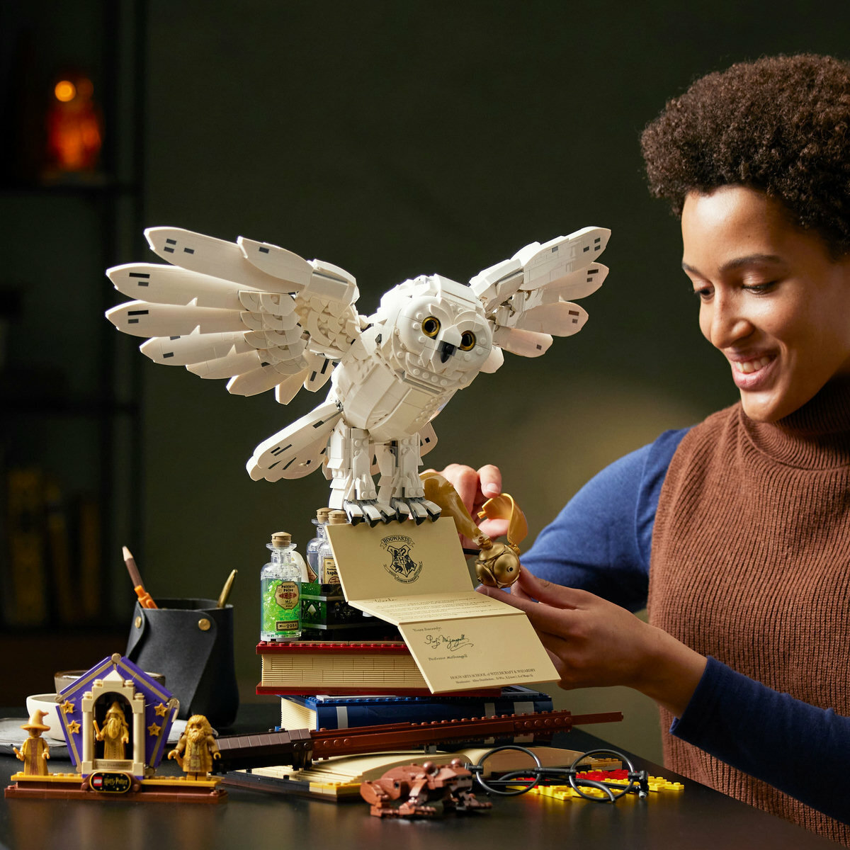 76391 Hogwarts™ Icons - Collectors' Edition