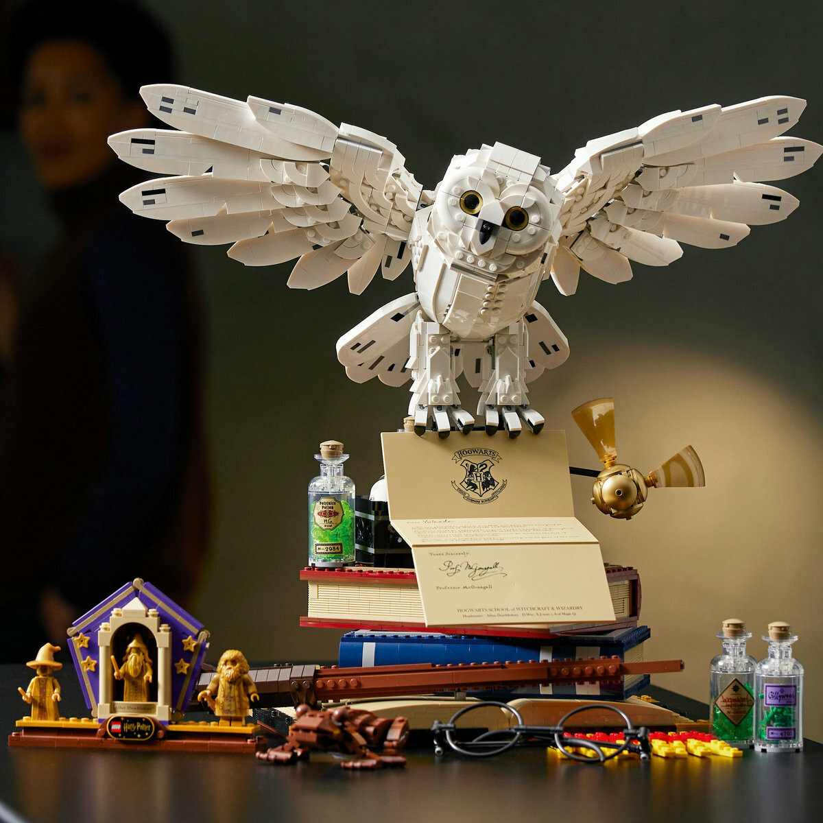 76391 Hogwarts™ Icons - Collectors' Edition