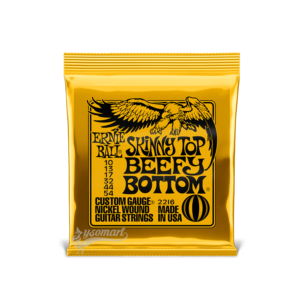 Ernie Ball 電吉他弦 010-054 Skinny Top Beefy Bottom Slinky 2216
