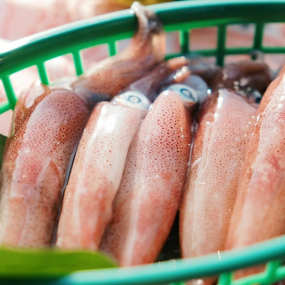 寵食研室｜臺灣上好 基隆鮮凍小卷乾