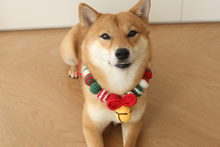 聖誕珠珠鈴鐺針織頸圈