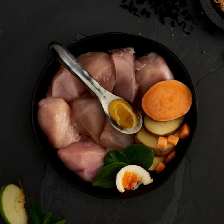 原之選 無穀物走地雞全貓糧 1.5KG