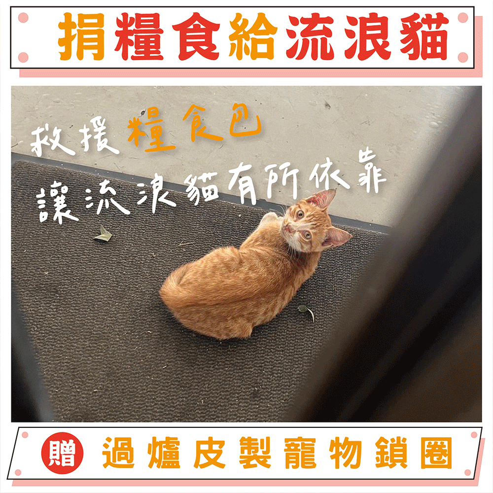 《喵星人糧食包、醫療箱募集》流浪動物糧食救助｜【天后公益】（贈大甲媽寵物立體皮製項圈）-已含八卦平安符令