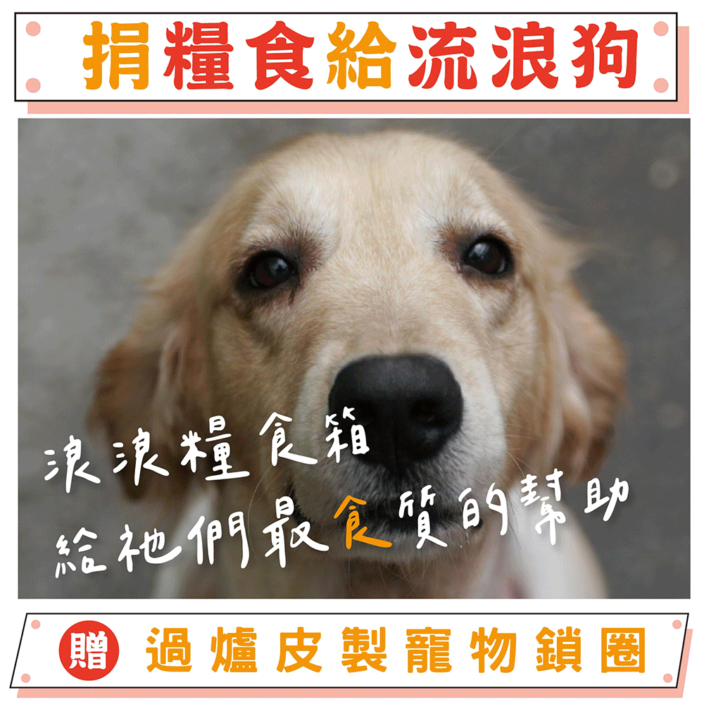 《浪浪糧食包募集》流浪動物糧食救助｜【天后公益】（贈大甲媽寵物立體皮製項圈）-已含八卦平安符令