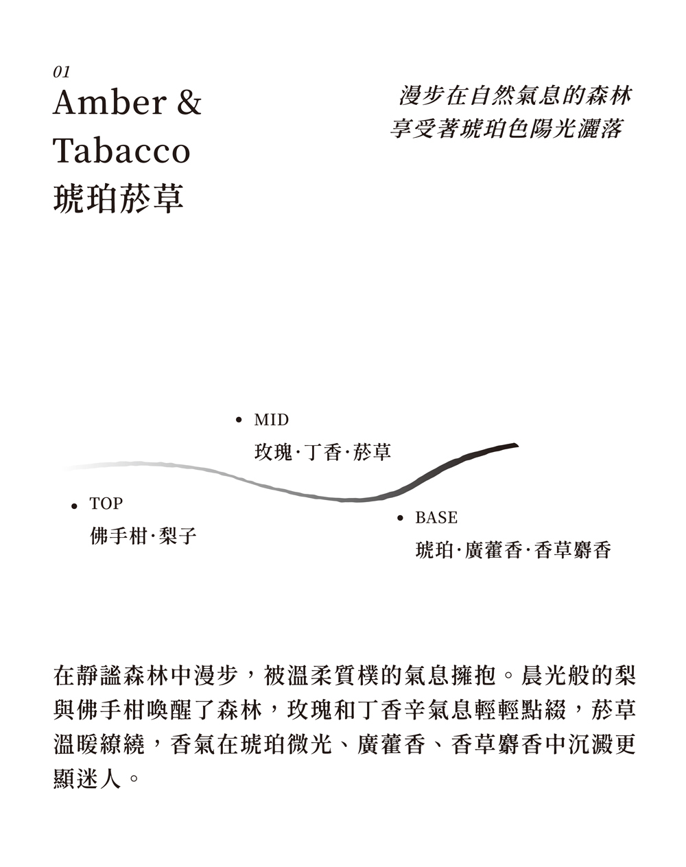 琥珀菸草