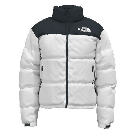 -(E2d01)-THE NORTH FACE M 1996 RETRO NUPTSE JACKET 男款 防潑水 鵝絨外套 -NF0A3C8D白黑(LA9)