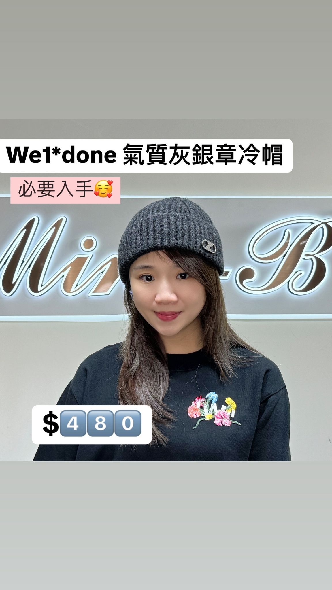 WD 氣質灰特價冷帽 -T