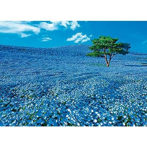 茨城-山上睡蓮開花 (絕版)