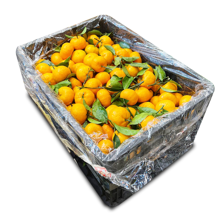 沙糖桔 [原箱水果 約30磅]