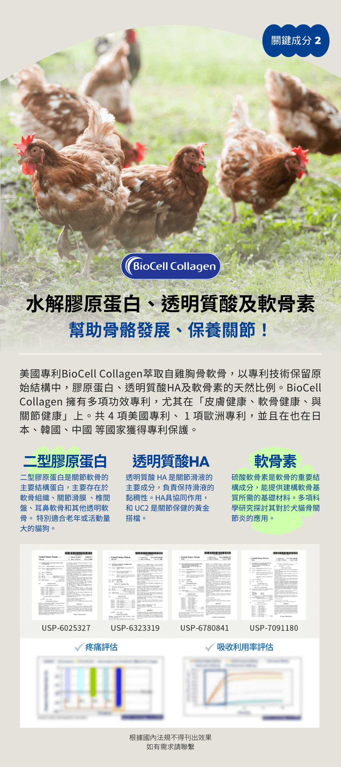 12mg專利Biocell搭配更有感