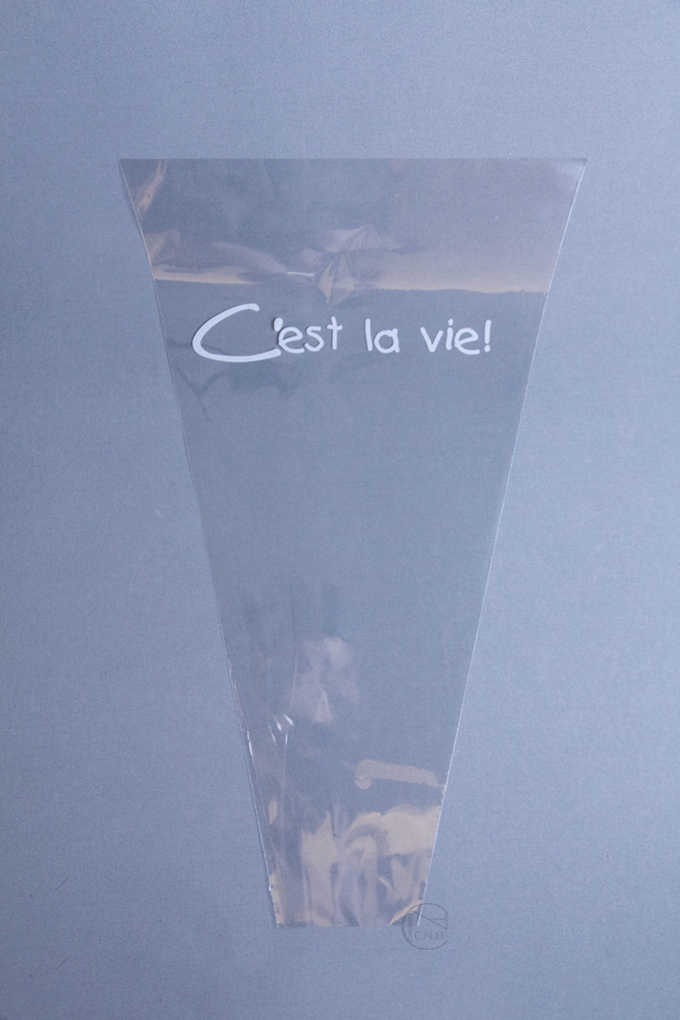 包裝 透明多支袋 50入