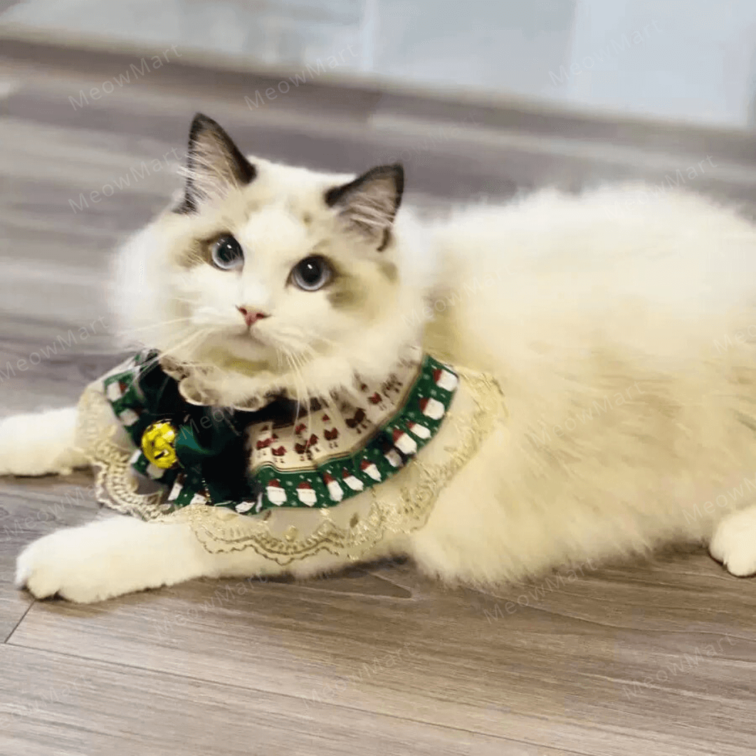 聖誕高貴蕾絲頸圈 (貓狗適用)