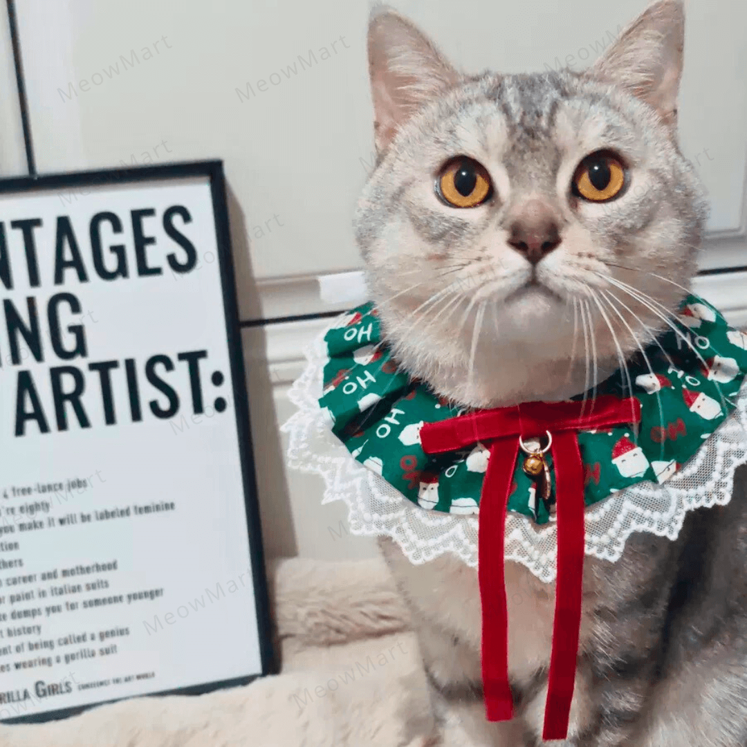 聖誕高貴蕾絲頸圈 (貓狗適用)