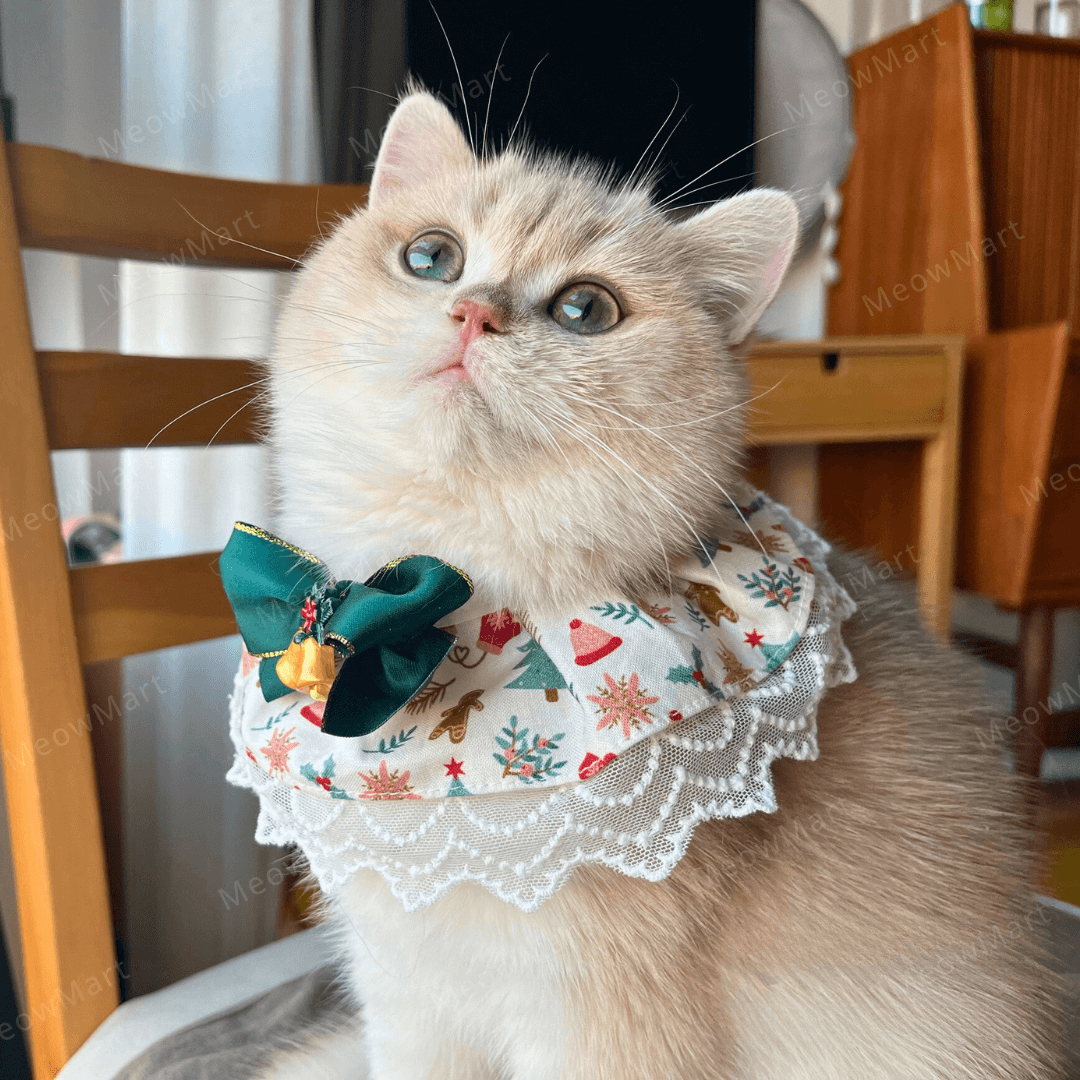 聖誕高貴蕾絲頸圈 (貓狗適用)