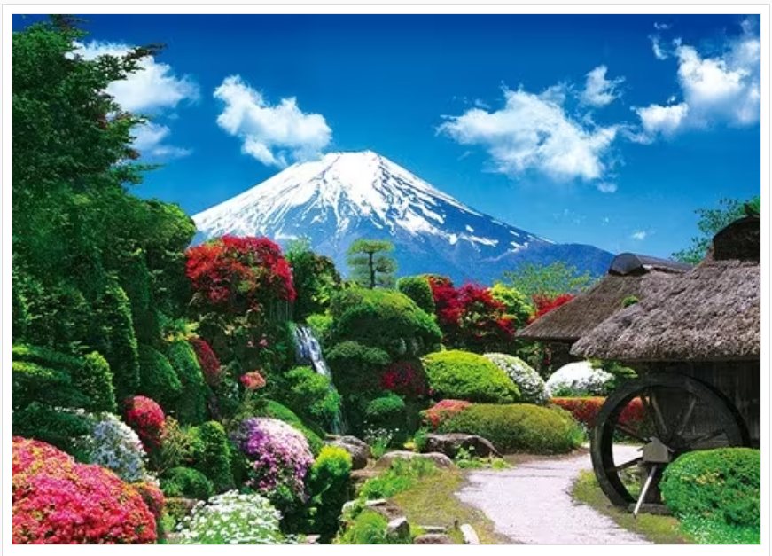 忍野和富士山盛開