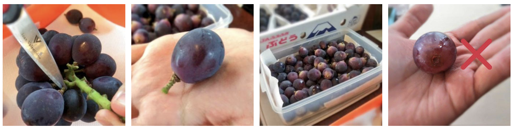 提子保存方法 https://utravel.com.hk/news/detail/36167?utm_source=website&utm_medium=copied_text