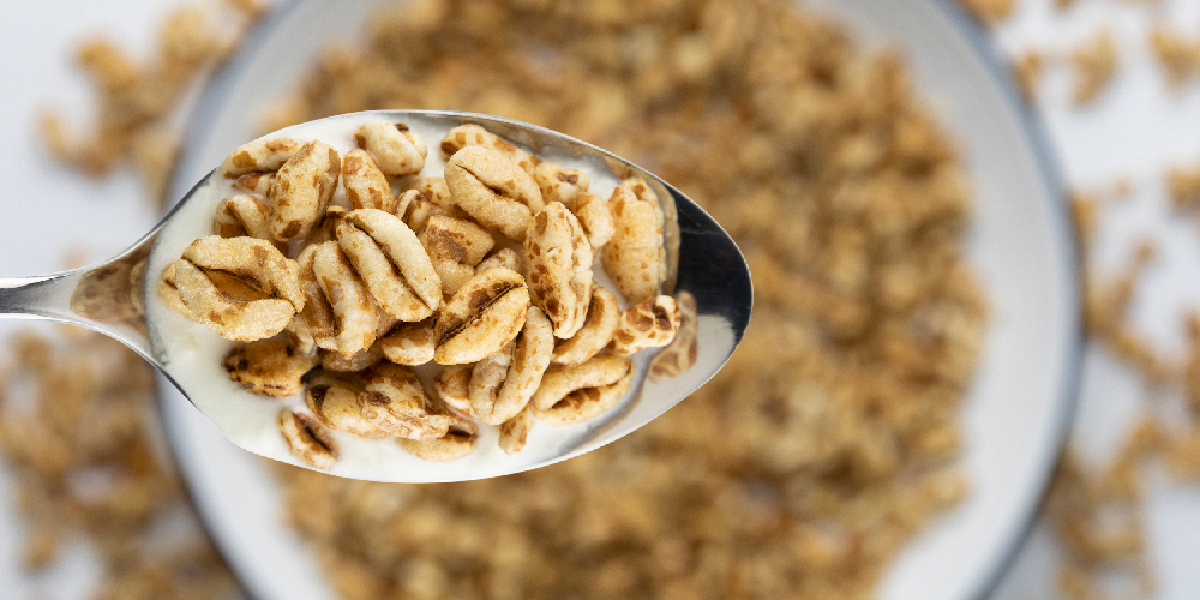 傳奇穀物斯佩爾特小麥